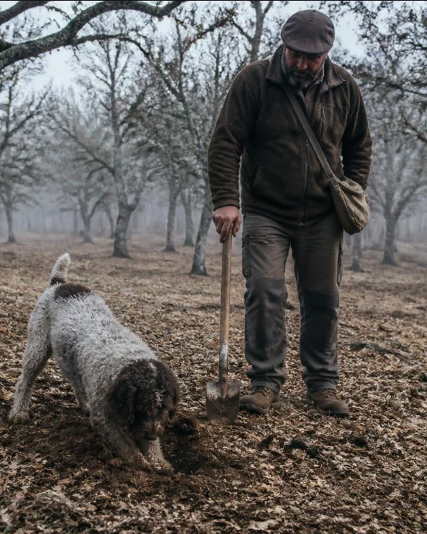 el-olfato El olfato nos muestra el camino